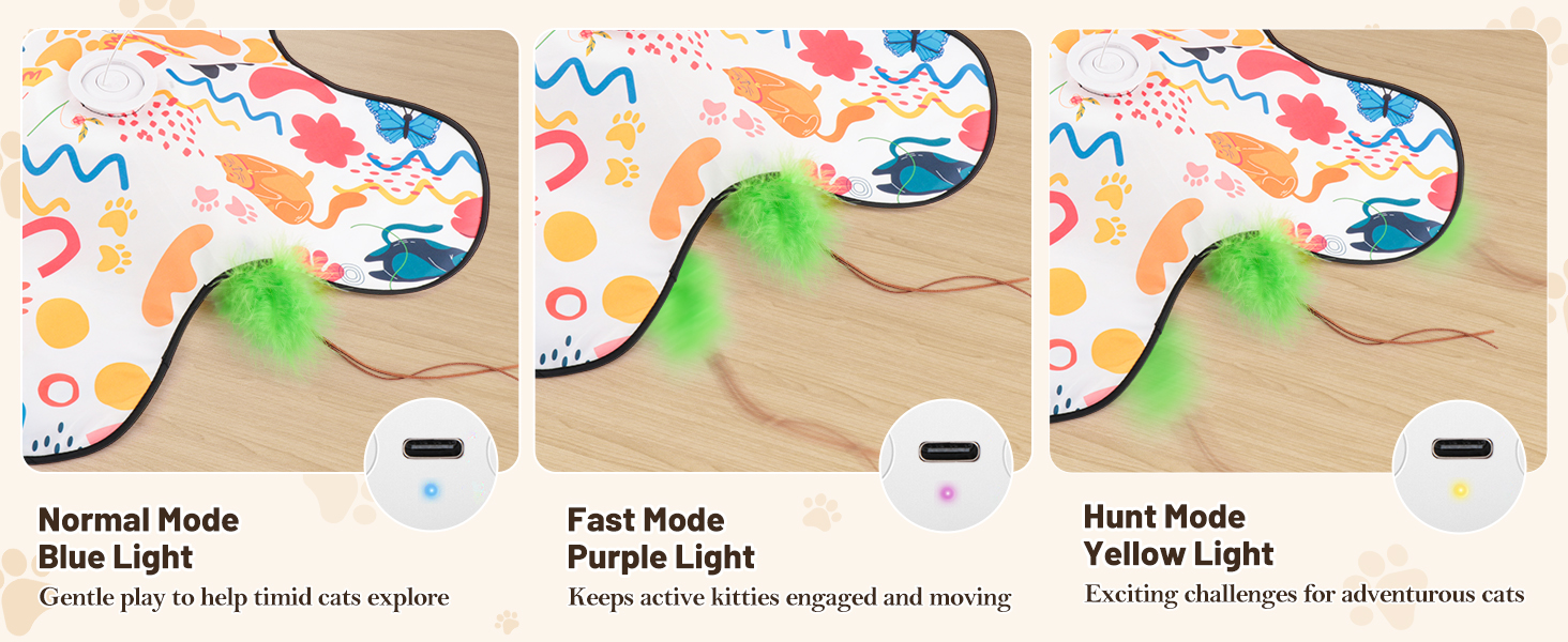 cat toys interactive