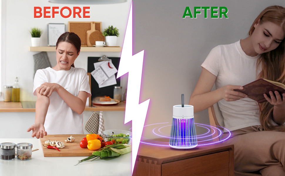 mosquito trap indoor