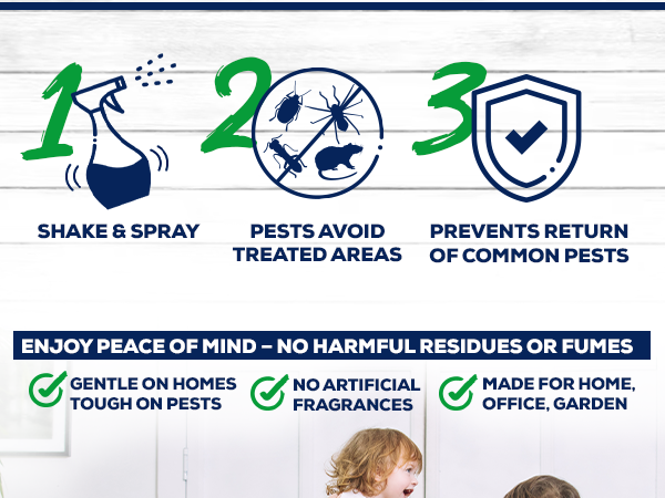 peppermint Insect Spray