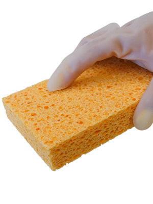 Kitchen Sponge