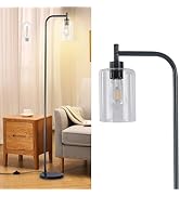 DLLT Floor Lamp Tall for Room: Grey Standing Lamp with Clear Glass Lampshade for Living Room - Mo...