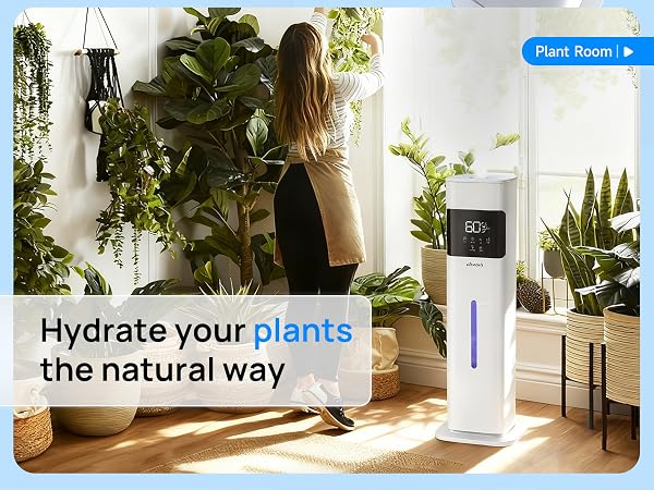 humidifier for plants