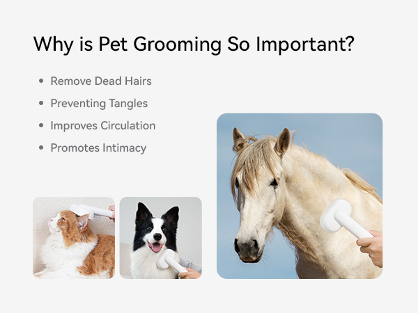 horse brush dog brush cat brush