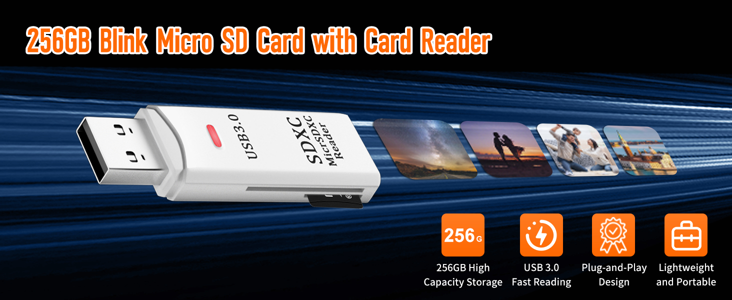 blink sd card storage
