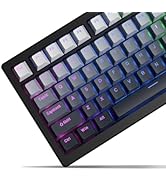 x XVX Shine Through PBT Keycaps, Custom Keycaps 60 75 100 Percent OEM Profile, Doubleshot Key cap...