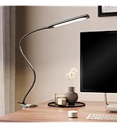 Orlian Desk Lamp Clip on LED Desk Lamp 3 Color Modes 14 Brightness Dimmable Table Lamp Metal Clip...