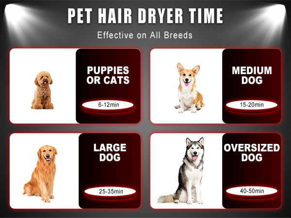 Dog Hair Dryer High Velocity Professional Dog Blow Dryer