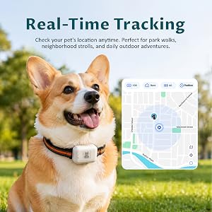 Smart pet GPS tracker on a corgi in the park with live location map display