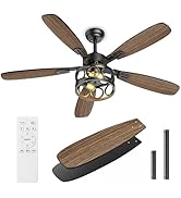 BLNAN Caged Ceiling Fans with Lights 42 Inch in Black