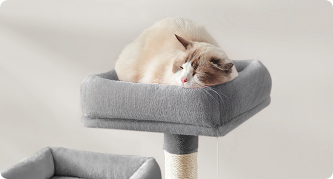Cat tree, cat tower