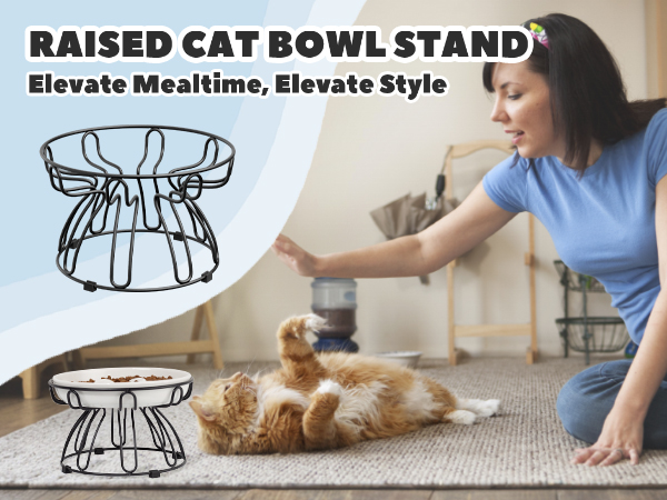 raised cat dish