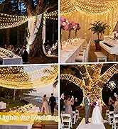 Data Fireflies Fairy Lights Plug in