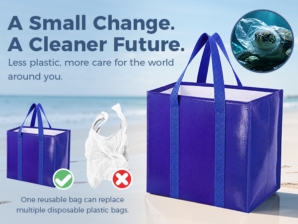 Reusable Grocery Bags