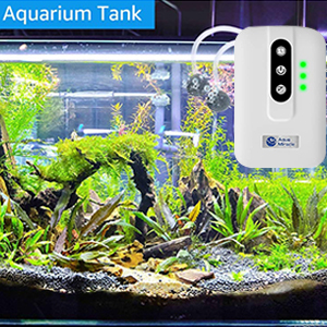 air pump for fish tank