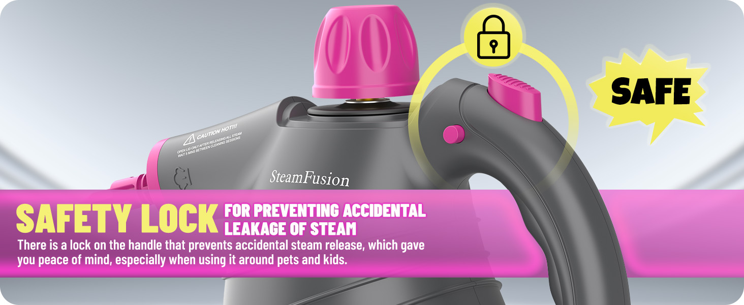 steam cleaner for home