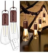 PINSAI 2 Pack Rechargeable Warm Tent Hanging Light Bulb,Portable Outdoor Vintage LED Camping Ligh...