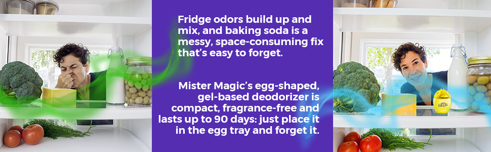 solution for fridge odors