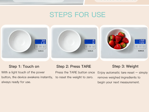 Food Scale
