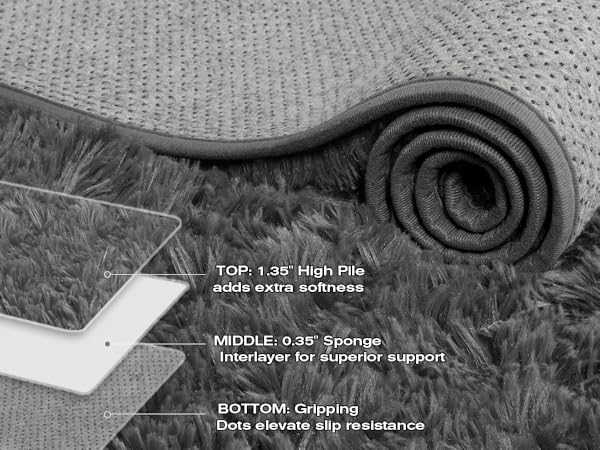 Area Rugs for Living Room