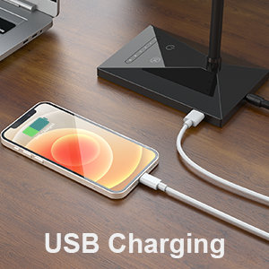 usb charing desk lamp