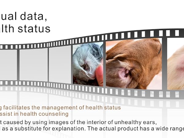 Photo and video recording function