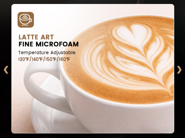 Electric Milk Frother