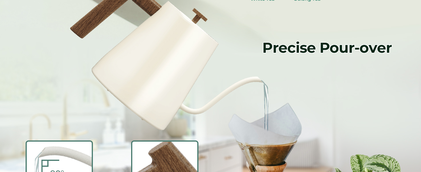 Electric Gooseneck Kettle