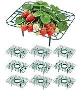 Unves 10 Pack Strawberry Plant Support, Square Strawberry Plant Stand, Suitable for Garden Strawb...