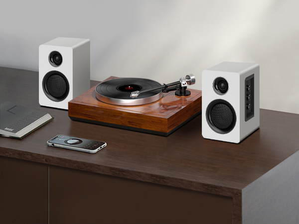 turntable speakers