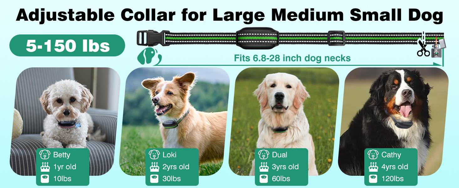 e collar for small three pack