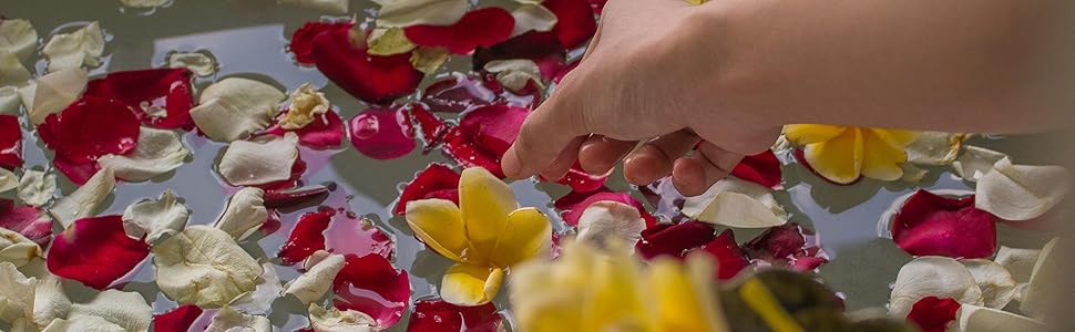 Garbage Disposal Splash Guard with sink stopper