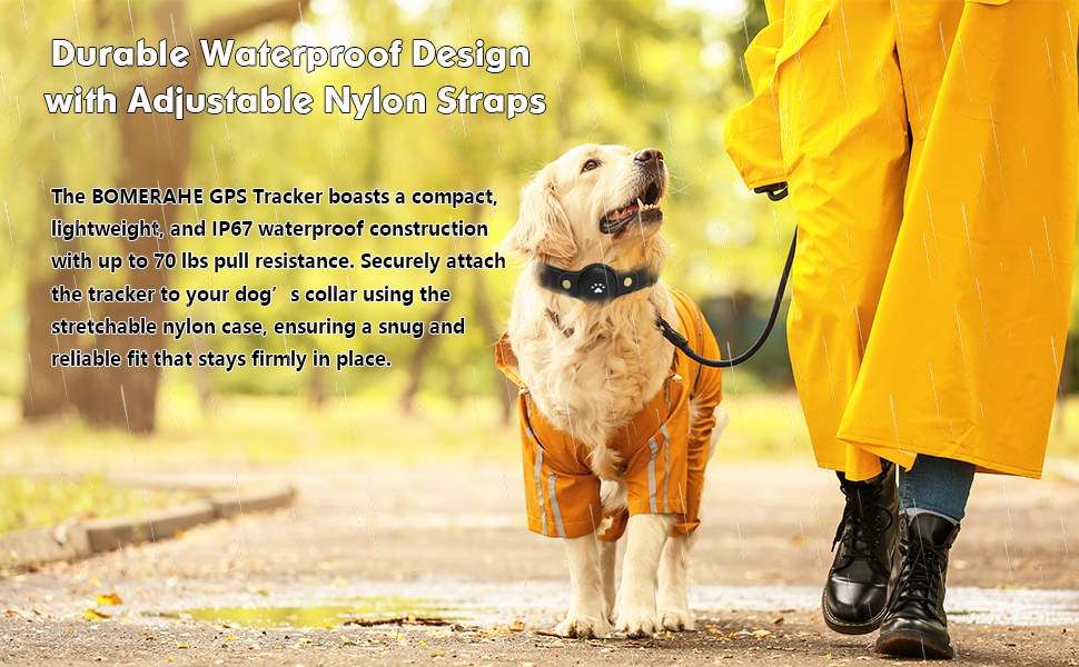 2 in 1 Pet Tracking Smart Collar (Only iOS)