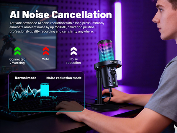 Noise Cancellation