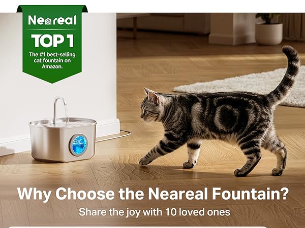 The Neareal fountain features a sleek stainless steel design and blue-lit water viewing window.