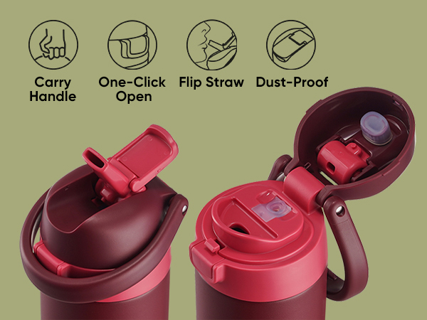 Insulated Water Bottle