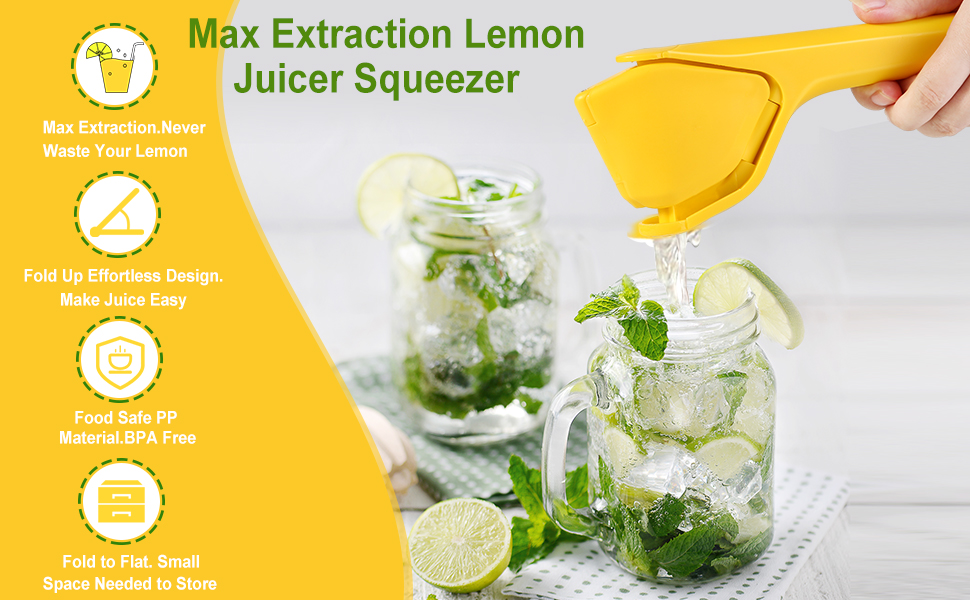 Lemon Squeezer