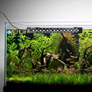 Submersible Aquarium Light