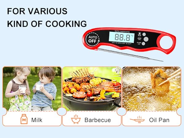 Meat Thermometer