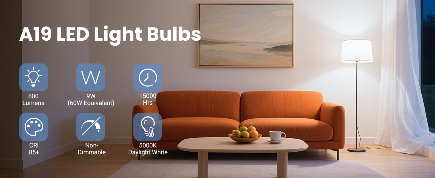 A19 led light bulb 5000K