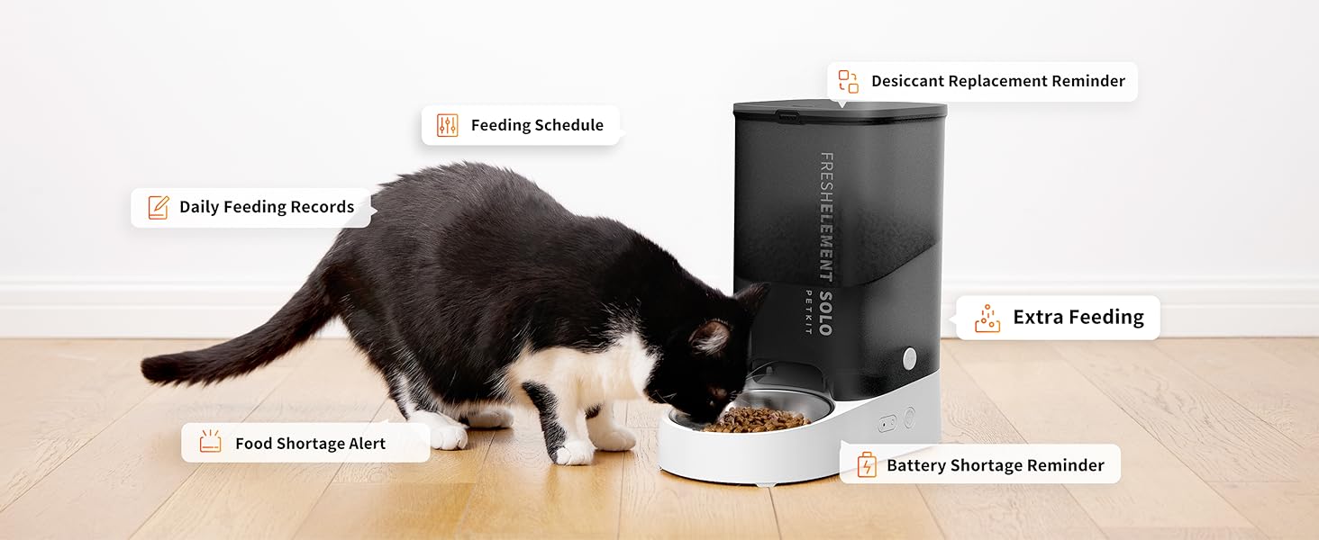 app control cat dog feeder food dispenser
