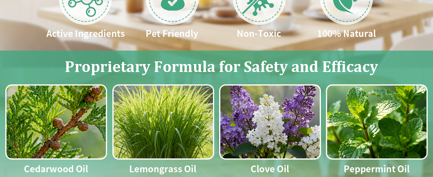 Mouse Rodent Repellent