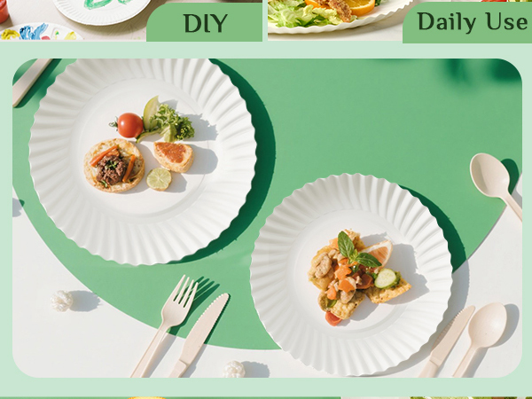 paper plates bulk