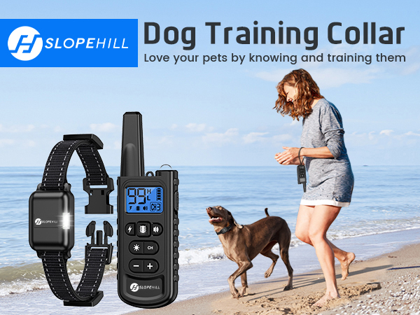 dog training collar