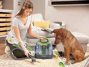 febreze plus gain