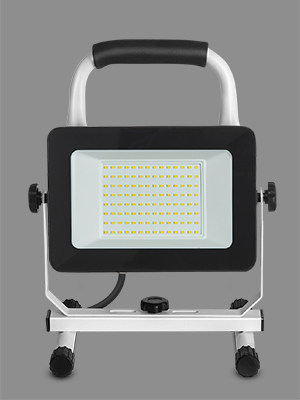Flood Light with Adjustable Switch