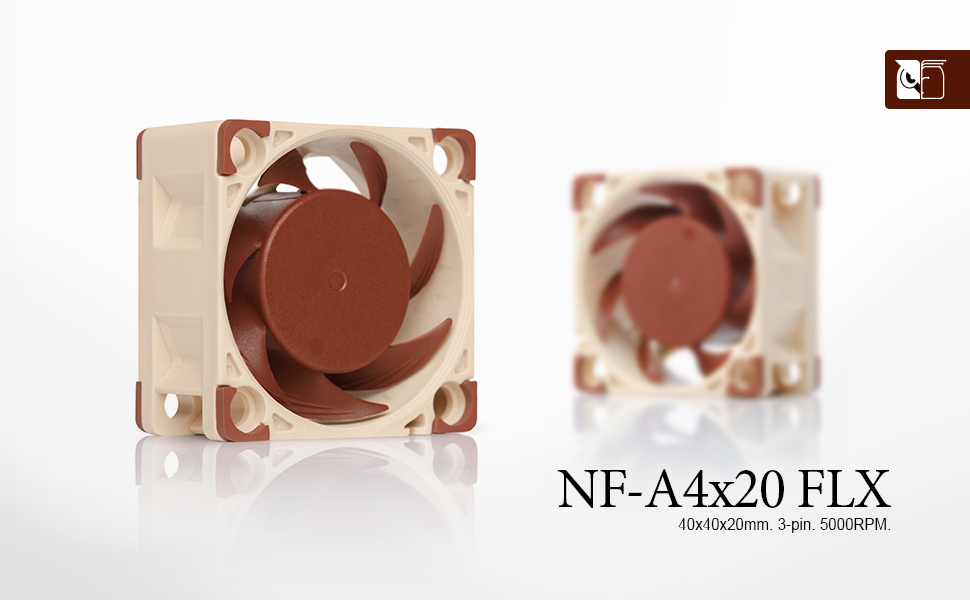 NF-A4x20 FLX header