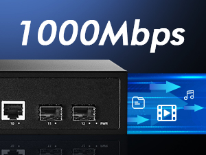 12-Port Gigabit PoE Switch