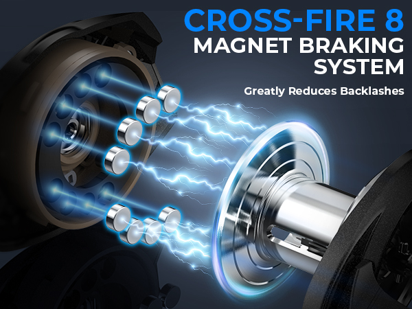 Magnetic Braking System
