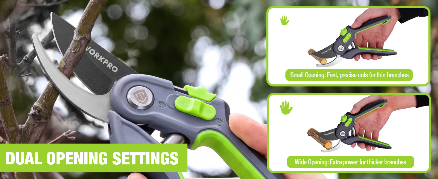 dual opening settings