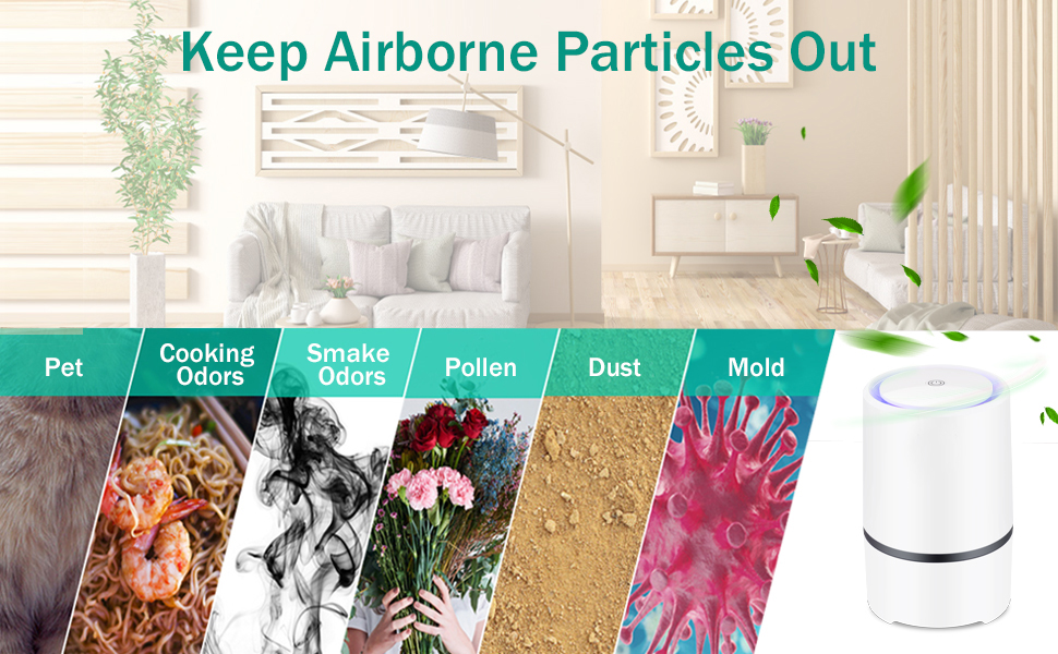 Text reads 'Keep Airborne Particles Out'. Series of images showing air purification effects in different home scenarios with icons for Pet, Cooking, Smoke, Pollen, Dust, and Mold.